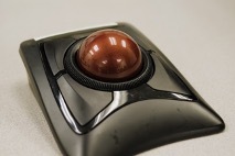 Trackball mouse